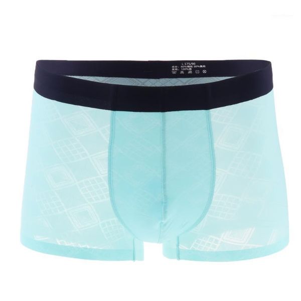 

men stretch briefs underwear low rise mesh shorts bulge pouch1, Black;white