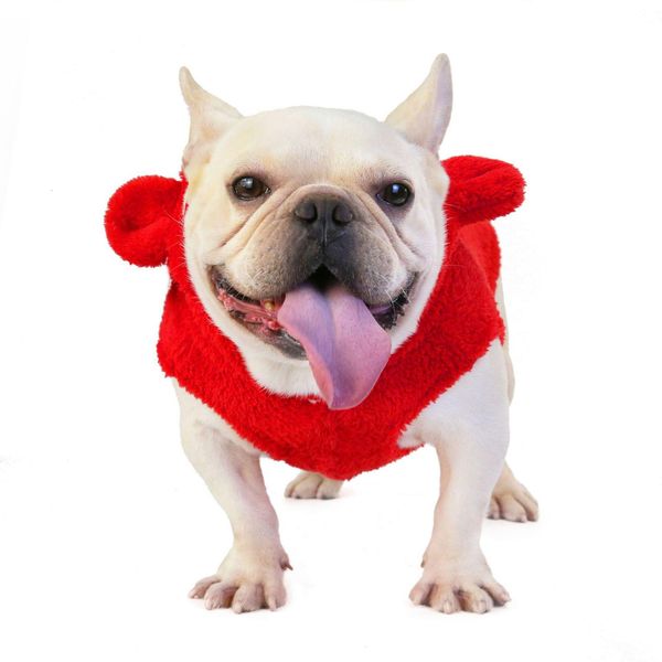 

french bulldog pet winter costume soft coral fleece puppy clothing for dogs coat pug bear ear dog clothes aha3148