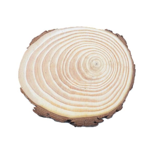 

6 15см толстые 1 pack natural pine round неполное wood ломтики круги с деревом bark вход диски diy crafts свадеб картина sqckhe