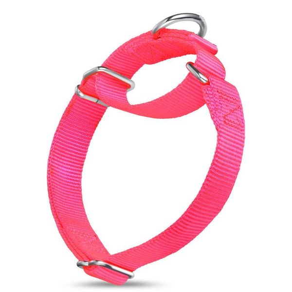 

dog collars & leashes martingale nylon collar for small mid and big dogs