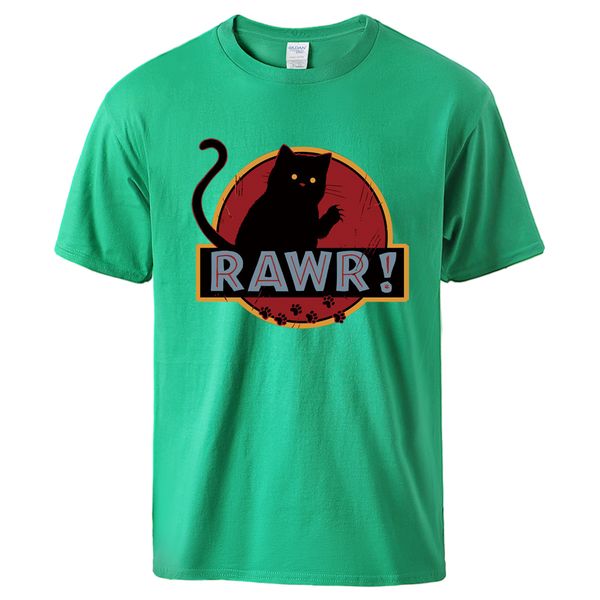 

summer tee rawr cat cool short sleeve tshirt for cute cat crewneck swear male workout hooded sweatshirt hoodie men t shirt