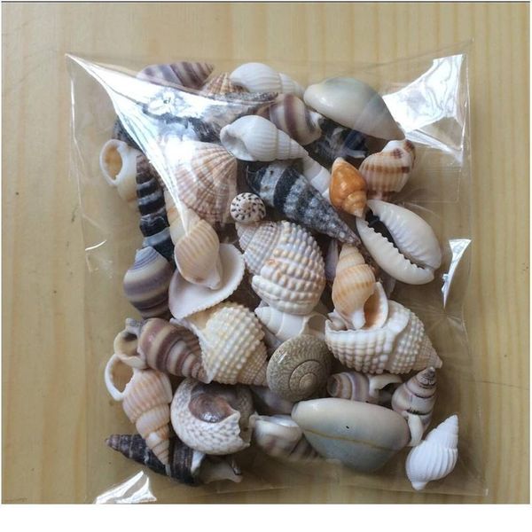 

happykiss lot of funny mixed sea shells shell craft aquarium nautical decor ornaments natural mini conch medit jllrqt