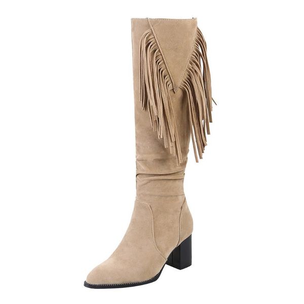 

jaycosin fashion pure color women boots long tube warm shoes pointed toe tassel zipper square heels vintage winter casual boots, Black