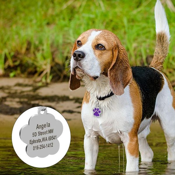 

custom dog tag engraved pet puppy name phone id tags glitter paw tag dog cat collar accessories pendant personalized g wmtmnj