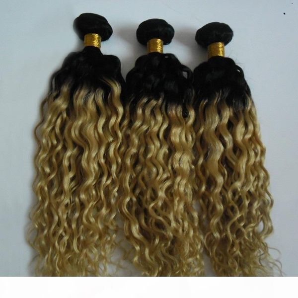 

t1b 60 color ombre brazilian kinky curly hair bundles 100% human hair weave 10-30 inchs unprocessed virgin double weft hair weaving, Black