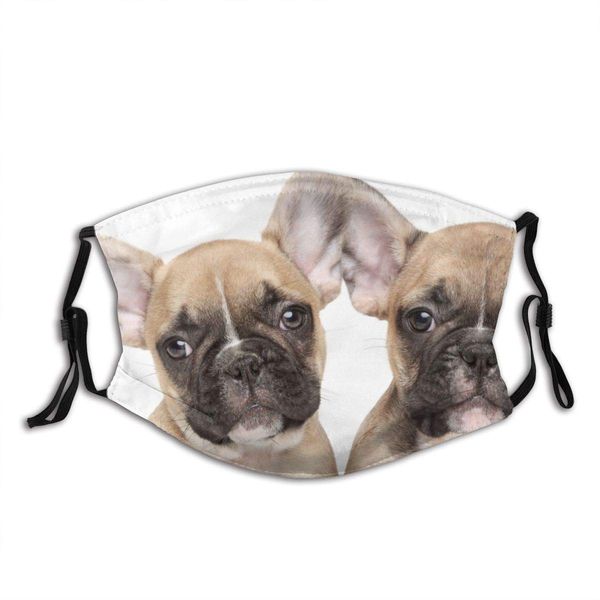 

french bulldog face mask with filter pocket washable reusable face bandanas balaclava with 2 pcs filters