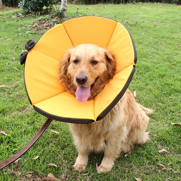 

suppli dog sick care neck waterproof anti biting pet cover collar