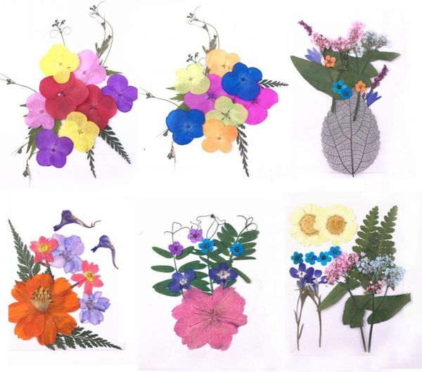 

mixed pressed dried leaf leaves+flowers plants herbarium for jewelry phone case postcard scrapbook craft diy accessories hswl