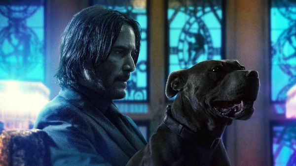 

john wick 1 2 3 пистолеты много оружия фильм parabellum киану ривз 3xl способа женщин бесплатная доставка спорт толстовка с капюшоном толсто