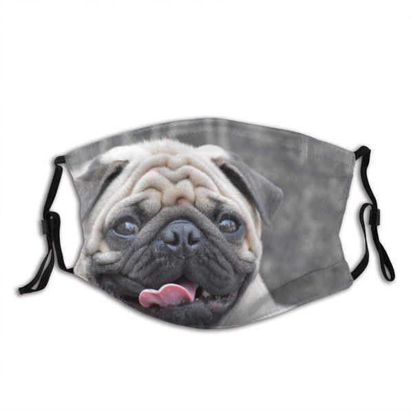 

funny pug dog face mask with filter pocket washable reusable face bandanas balaclava with 2 pcs filters