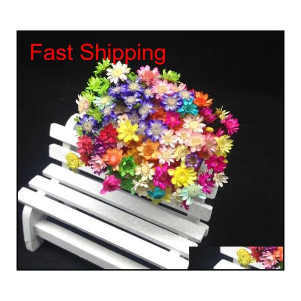 

60pcs mixed color cute mini brazil little star real dried flower fit wedding decoration glass vials glass bot qylkmt yh_pack