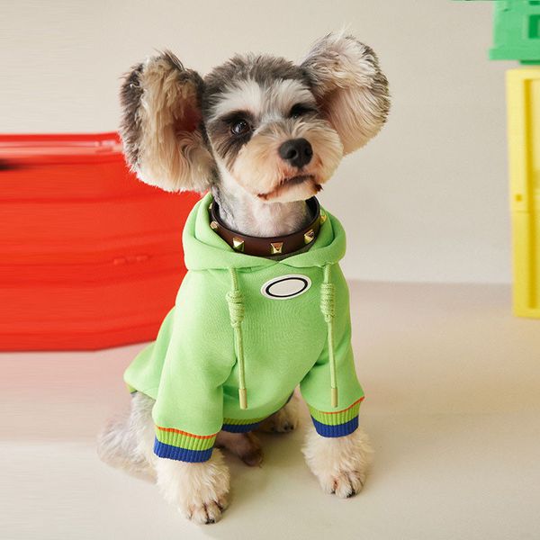 

green hoodies coats teddy schnauzer pomeranian dog jackets outdoor travel walk dog pet dress up must clothes ing