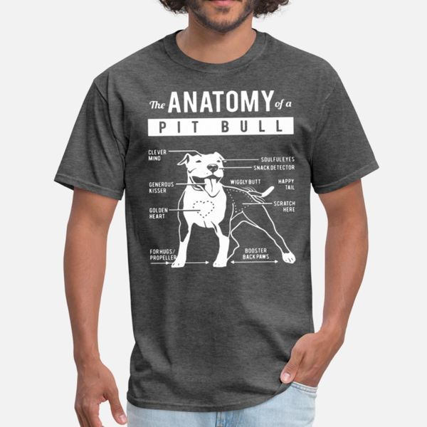 

the anatomy of a pit bull t shirt cool print sports tracksuit hoodie sweatshirt