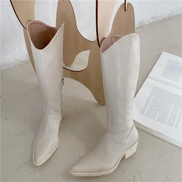 

2020 new ins women beige high heels wedges long boots lady riding cowboy boots winter designer pointed toe knee thigh high, Black