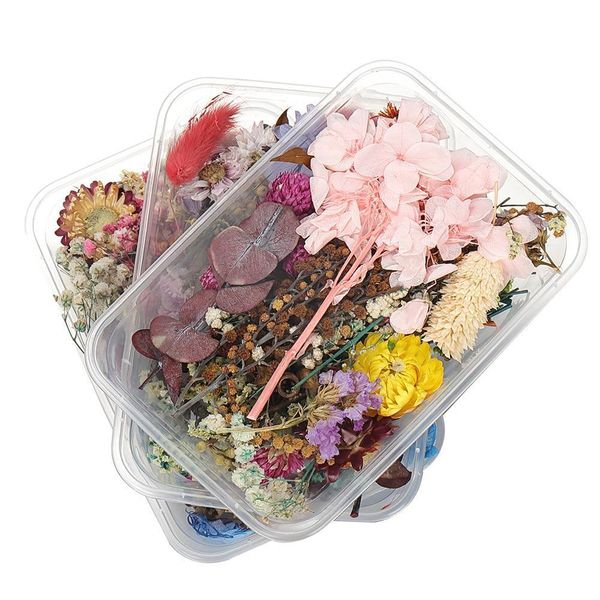 

1box random mix style dried flowers decoration natural floral sticker beauty nail art decals epoxy mold diy filling jewelry h qylxwz