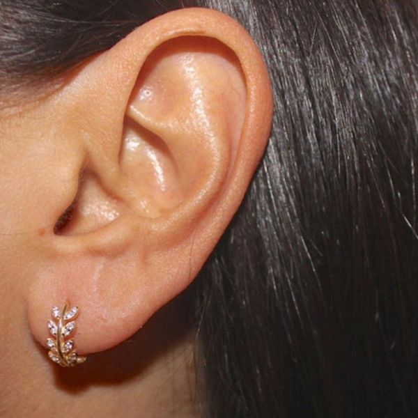

exquisite gorgeous leaves stud earrings climbing cufflink earrings ladies leaf crystal micro-mounted jewelry, Golden;silver