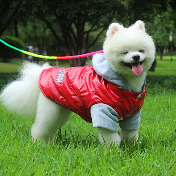 

фабрика оптом pu милая собака одежда для маленьких собак мягкие теплые домашние собаки свитера для маленьких собак пальто куртка