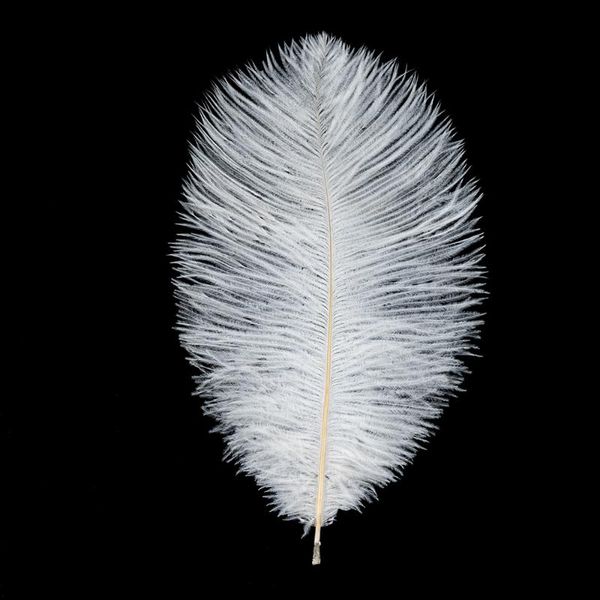 

party favor ostrich feather white beautiful happiness family wedding 190812123