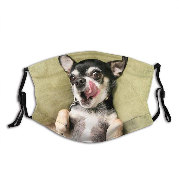 

chihuahua dog face mask with 2 filter reusable washable dust-proof balaclavas cloth mouth protection for adult