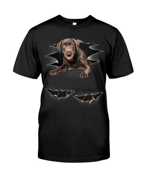 

sport men t shirt labrador retriever - torn 2(52) women tshirts