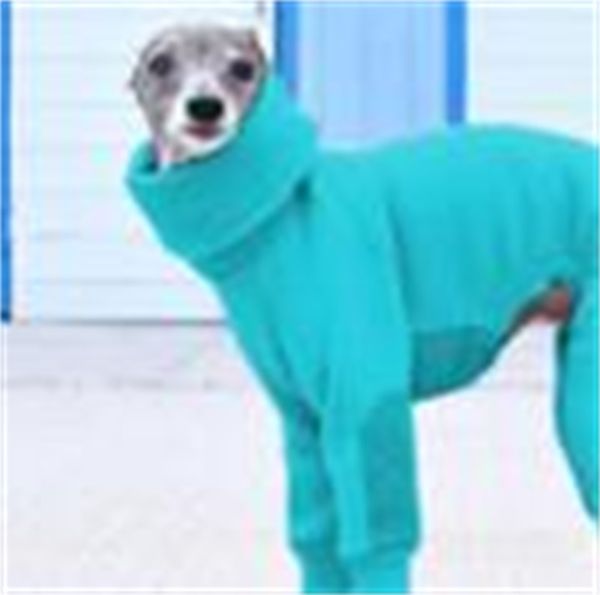 

solid color dog clothing high collar autumn winter warm pet sweater hoodies ropa para perros accessories fashion 27lm g2
