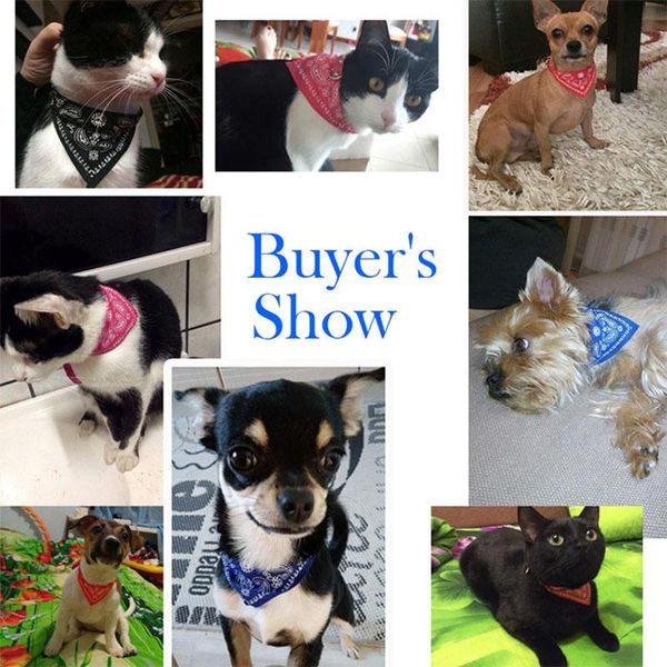 

adjustable small dog collars tie necktie cat collar puppy scarf collar for cat lovely pet dog accessories supply 50 s1 wmtjvz dh_niceshop