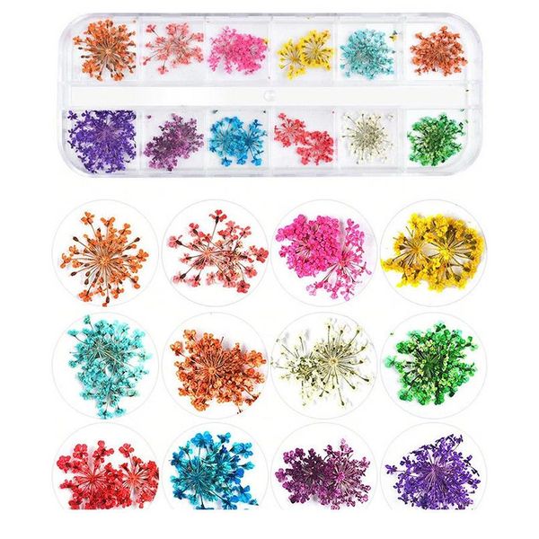 

1 box real dried ammi majus flower dry plants for epoxy resin pendant necklace jewelry making craft diy acc wmteqi