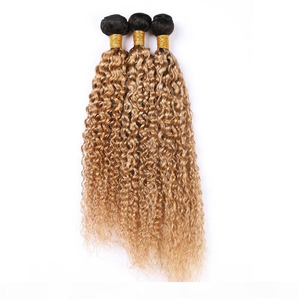 

ombre honey blonde virgin hair weaves kinky curly human hair extensions #1b 27 light brown ombre malaysian curly human hair bundles 3pcs, Black
