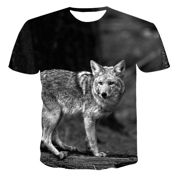 

year colorful birds flowers gray parrot 3d print shirts aesthetic anime aesthetic men clothing