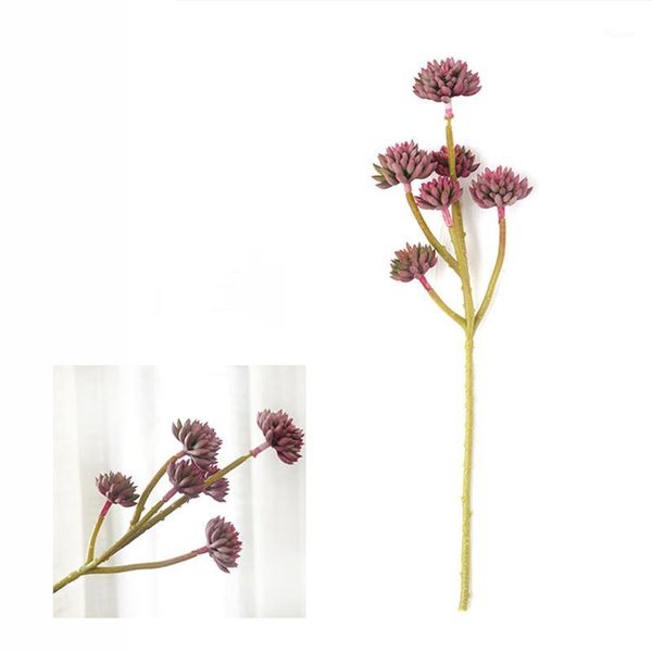 

micro landscape simulation succulents 6 heads houseleek home wedding decor1