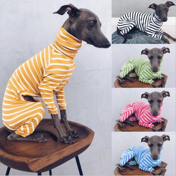 

pet clothes colorful printed puppy sweaters dog stripe turtleneck sweatshirt soft warm dogs shirt fashion designs 5 colors xtl255