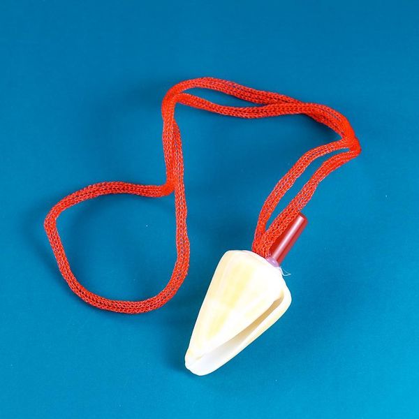 

natural conch whistle pendant necklace small conch shell whistle craft gift kids toy survival tool souvenir instrument equipment h jllnsp