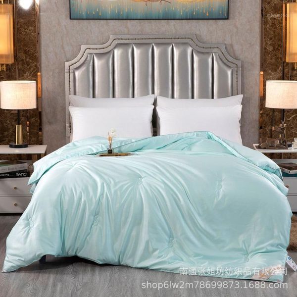 

popular silk quilt & quilt core & autumn and winter tencel modal summer1