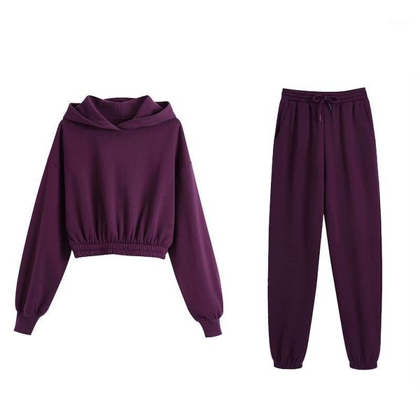 

new women 2 pieces set solid long sleeve hooded crop sweatshirt long pants suit female fashion casual women clothes1, Gray