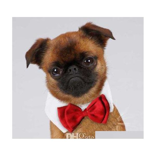 

formal pet bow tie holliday wedding dog collar dog clothing costume accessories black red for small medium cats dogs pets fgsrp