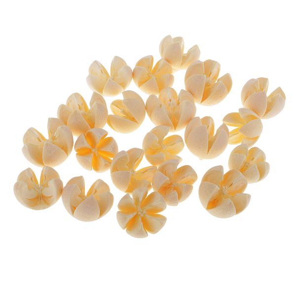 

20piece natural dried cones ornaments for p props garden home decoration