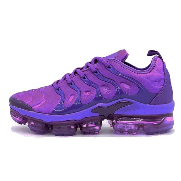 light purple tns