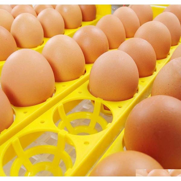 

new 56 egg incubator digital hatcher turning mat qyleoj dh_seller2010