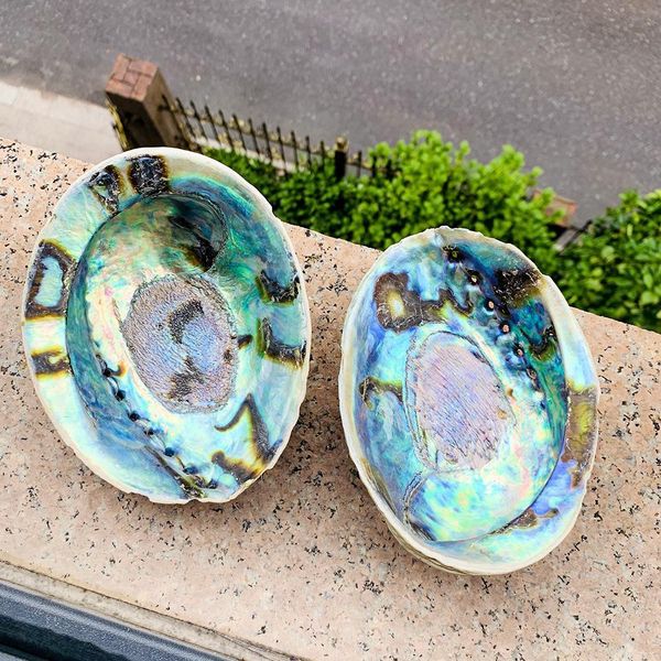 

15 16cm natural abalone shell large seashell nautical decor bonsai home storage soap box shell fish tank aquarium landscape h qylbyh