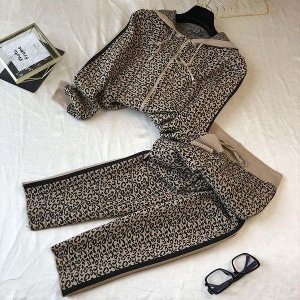 

women knit hooded zipper jacket pants sets autumn winter leopard coats trousers tracksuits outfits, Gray