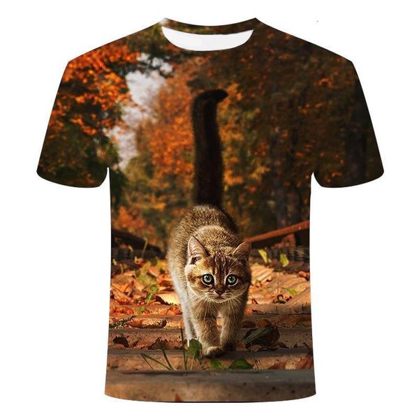 

2021 fashion new cool t shirt men and women cute 3d t shirt printed animal cat short sleeved summer shirt t men, White;black