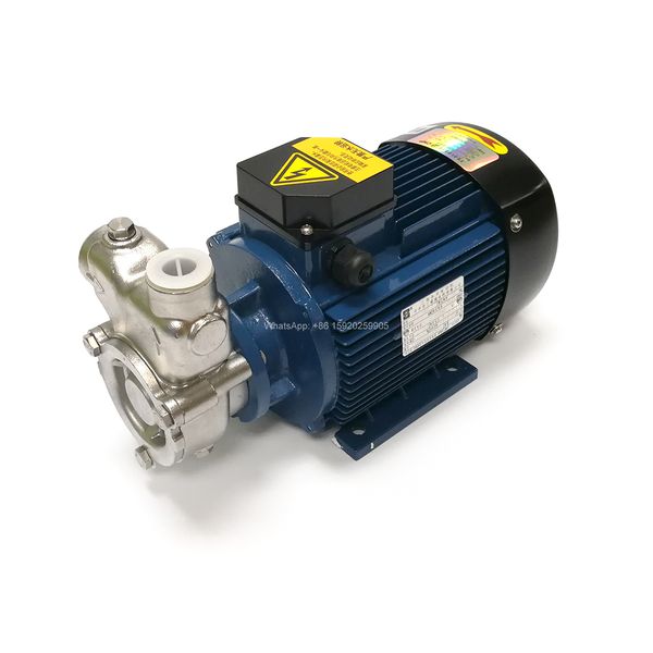 YS 1T/h 2T/h 6T/h 12T/h 110V 220V 380V Pompe Generatore di microbolle Pompa di miscelazione dell'acqua dell'ozono Pompa per la preparazione di HOEW