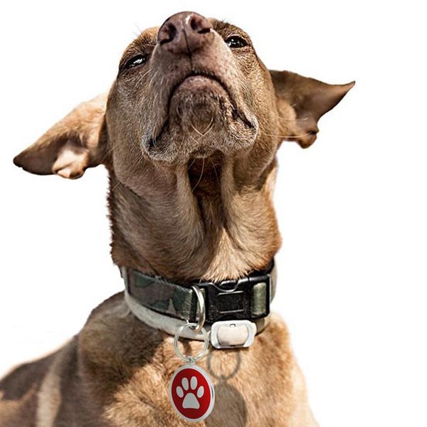 

8pcs/lot stainless steel custom pet dog cat id tags designers round paw personalized 8pcs/lot s bbylyy