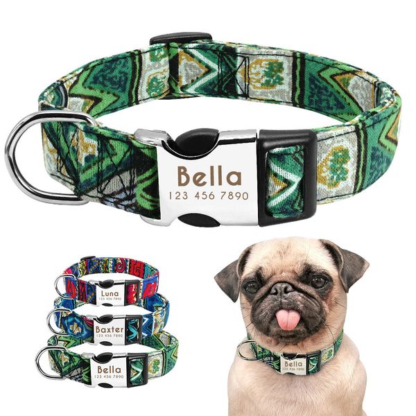 

custom nylon dog , lettering collar, medium french calino bulldog