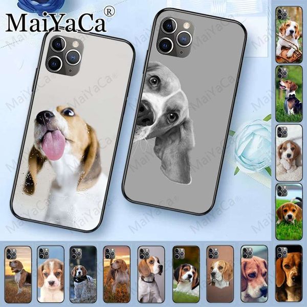 

qacase, vip 11pro, 5s, 6s, 12pro, 8plus, x, xs, xr, xsmax, beagle dog caselk