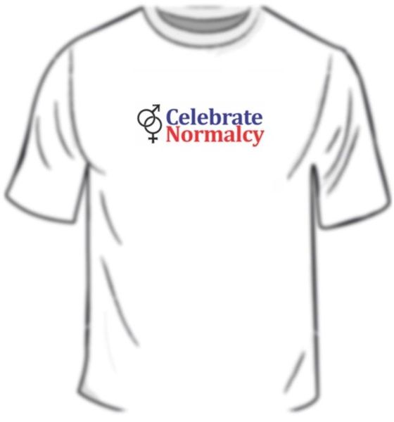 

fashion 2018 short sleeve tshirt celebrate normalcy anti liberal anti homosexual funny print sport hooded sweatshirt hoodie men t shirt