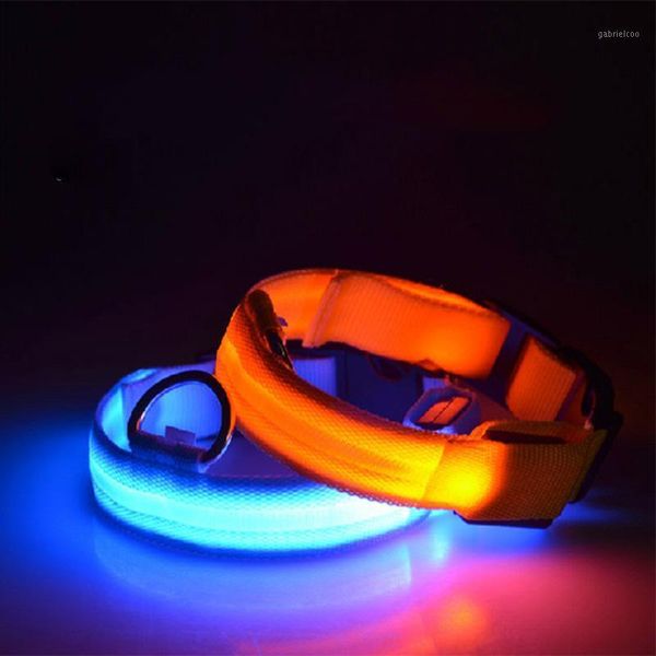 

adjustable personalized dog collar led glowing nylon puppy cat pet neck strap anti-lost xs-xl1