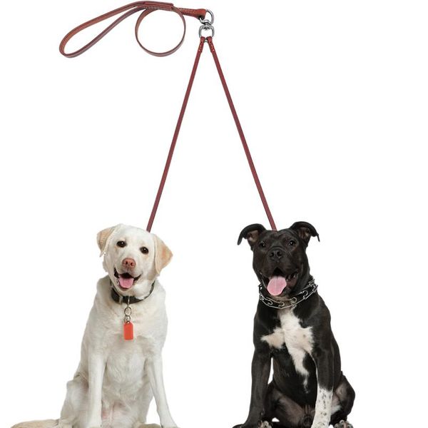 

2 way real leather coupler dog walking leash dual no tangle lead for 2 dogs good for small medium bree jllflb