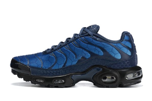 blue hex tns