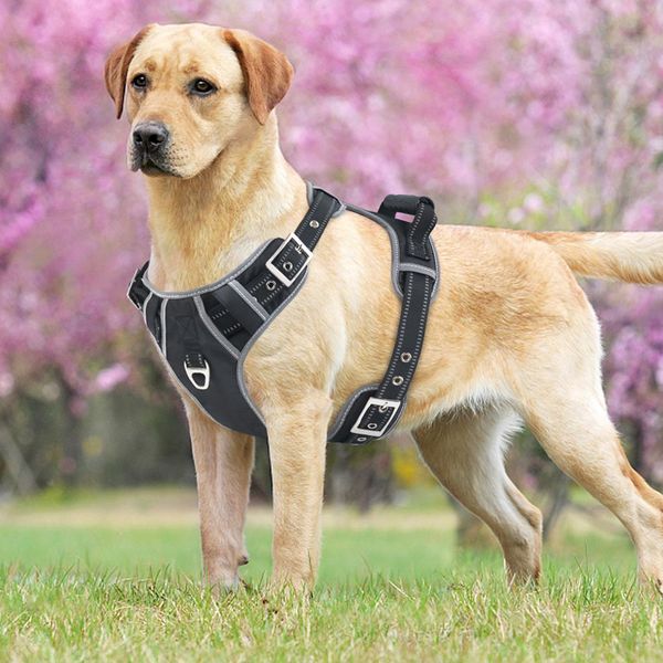 

big dogs harness воротник куртки для крупных собак ведет регулируемая pet vest walking lead поводке шлейки для собак поставок jllbms homecar